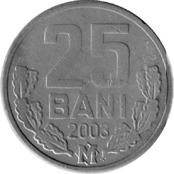 25 Молдовских бань