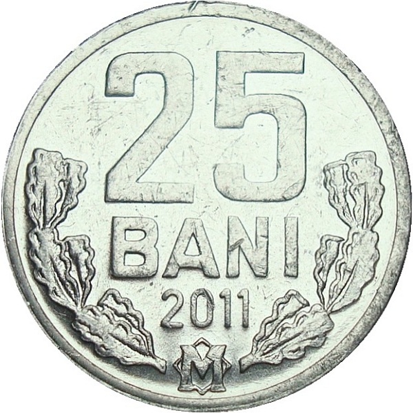 25 Молдовских бань